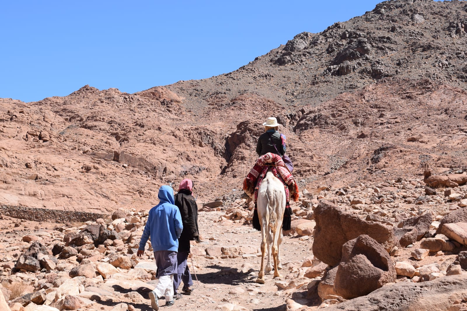 A Bedouin guide leading a camel along the Mount Sinai trail