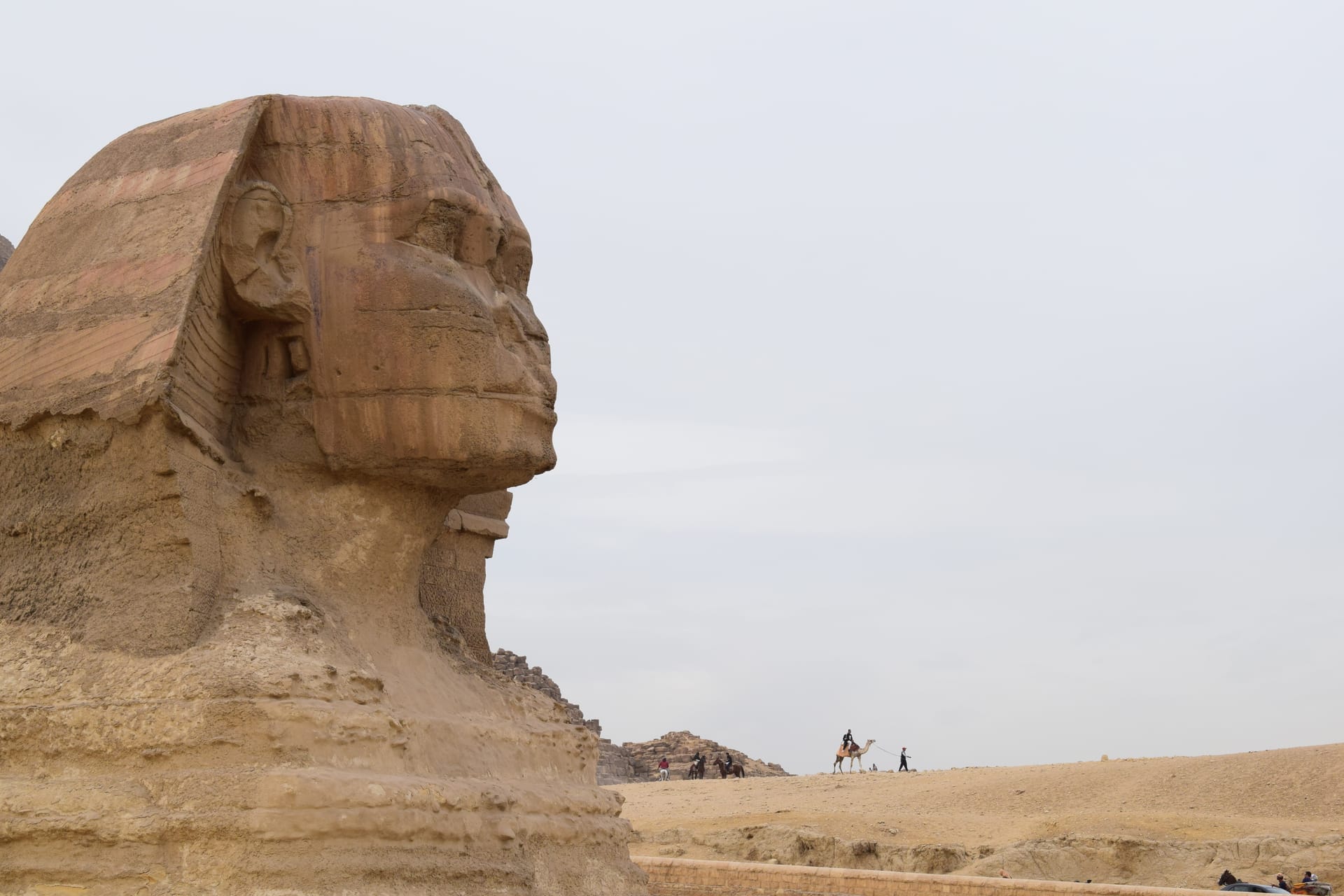 A close profile view of the Great Sphinx of Giza with a camel rider crossing the desert in the background