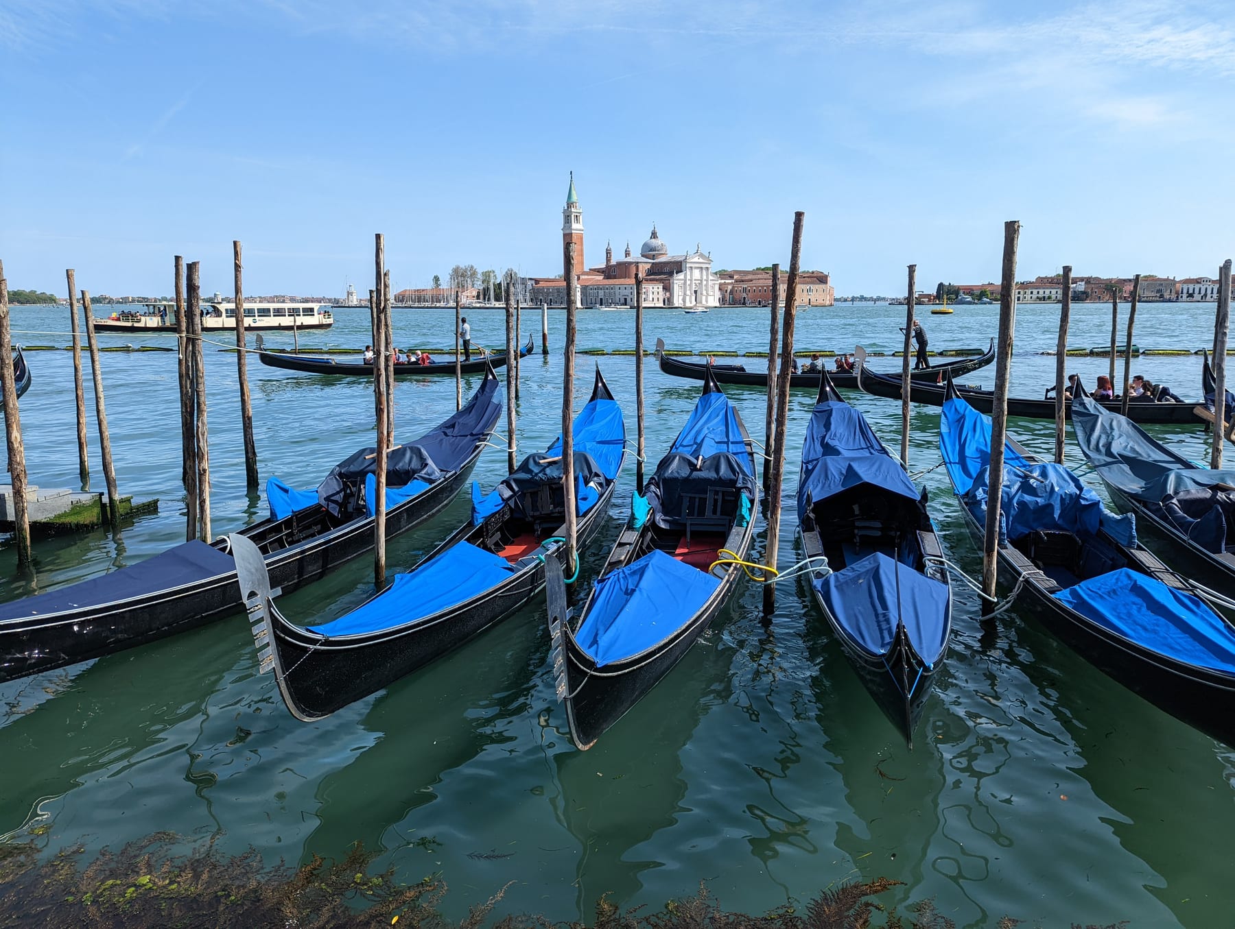 Blue-covered gondolas moored on the Venice waterfront